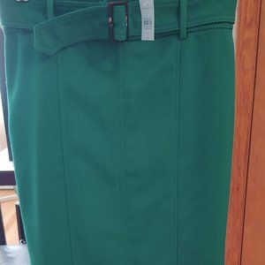 Ann Taylor Skirt